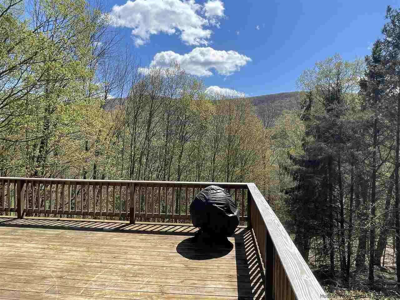 187 Deer Run Road Roxbury, NY 12421 - Photo 3 of 28 a view of balcony and patio