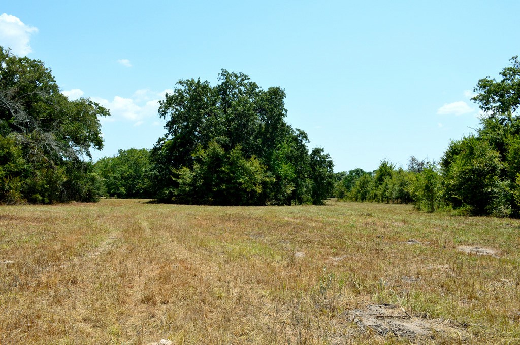 155 Fm 1227 Road Navasota, TX 77868 - Photo 13 of 19 a view of an outdoor space and a yard