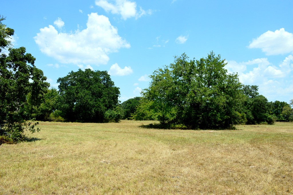 155 Fm 1227 Road Navasota, TX 77868 - Photo 14 of 19 a view of basketball court
