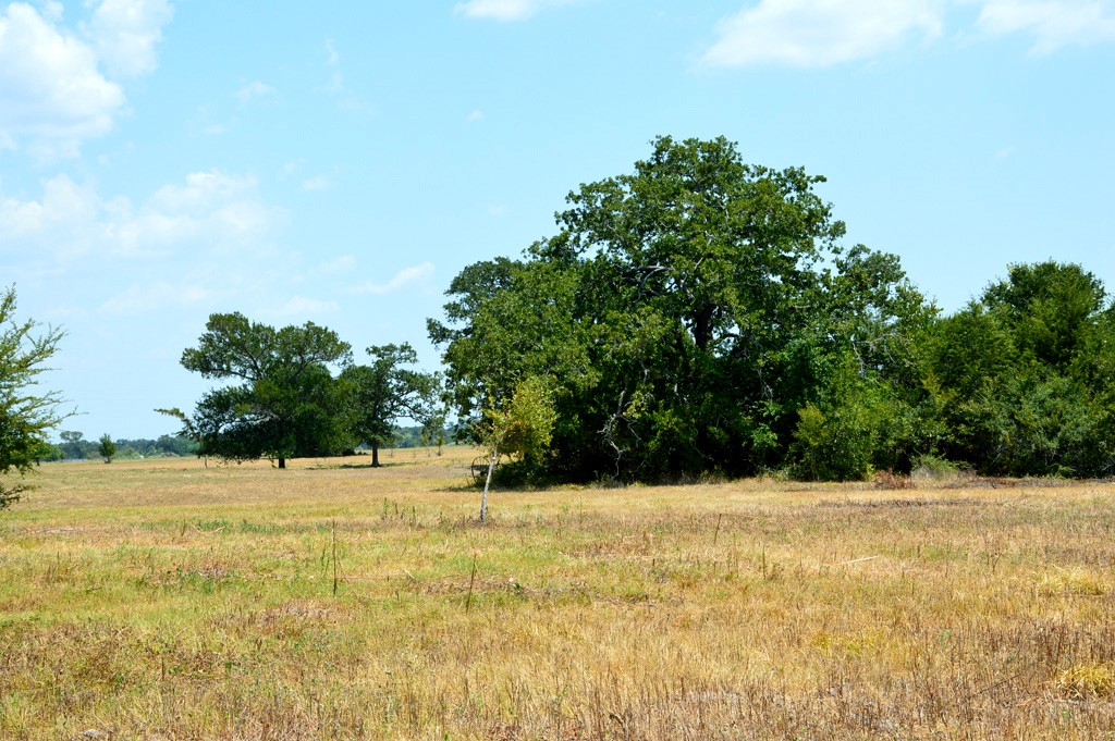 155 Fm 1227 Road Navasota, TX 77868 - Photo 15 of 19 a view of white wall with a yard