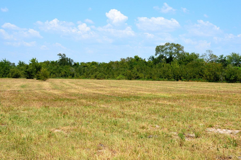 155 Fm 1227 Road Navasota, TX 77868 - Photo 16 of 19 a view of basketball court