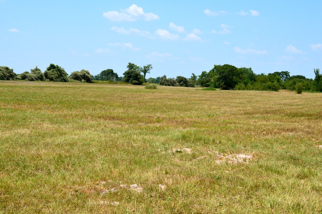 155 Fm 1227 Road Navasota, TX 77868 - Photo 17 of 19 a view of yard with ocean and mountain in the background