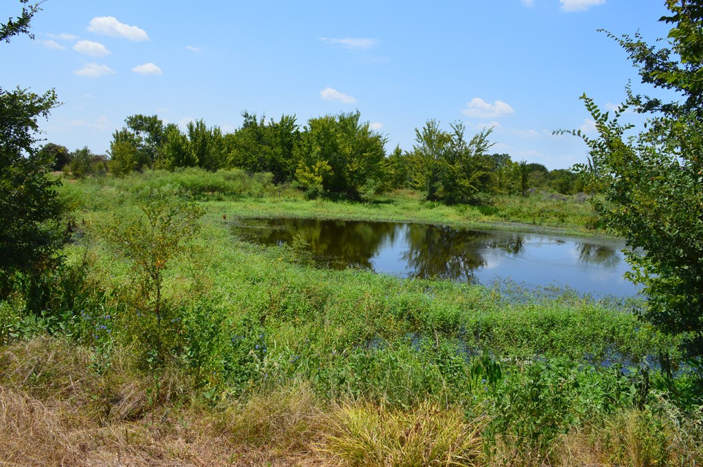 155 Fm 1227 Road Navasota, TX 77868 - Photo 18 of 19 a view of a large body of water surrounded by trees