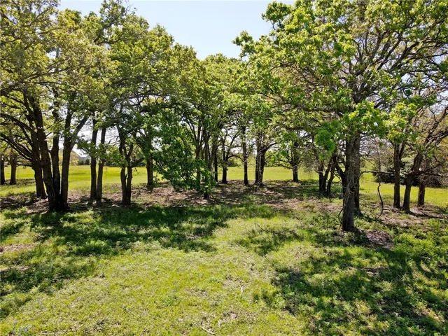 a view of empty and green yard