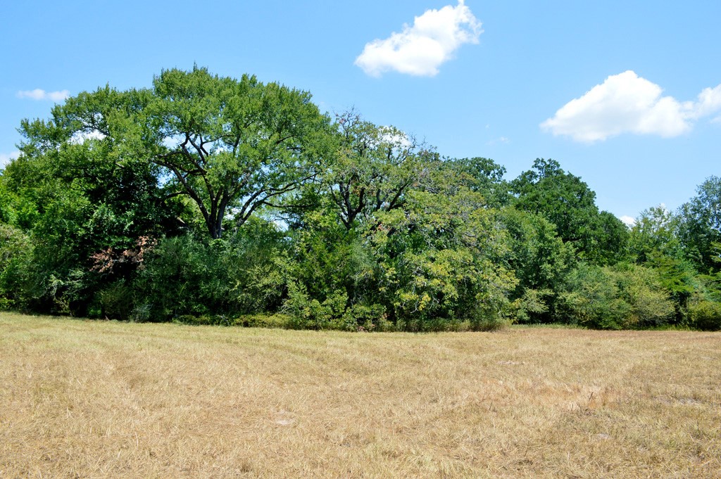 155 Fm 1227 Road Navasota, TX 77868 - Photo 8 of 19 a view of a garden
