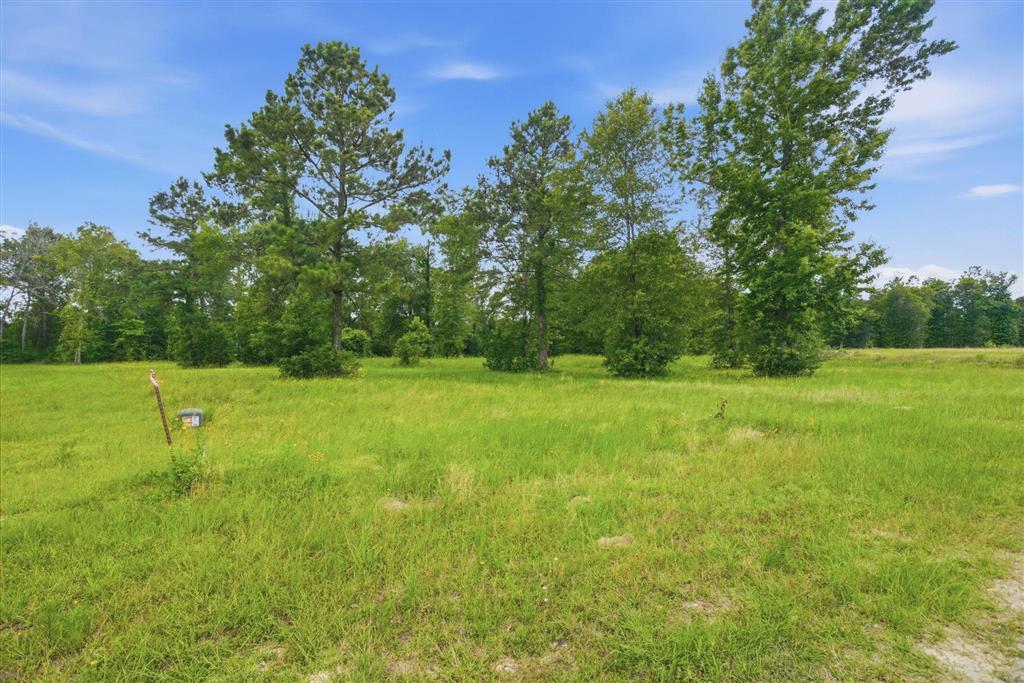 0 Rebel Loop Lake Charles, LA 70611 - Photo 4 of 9
