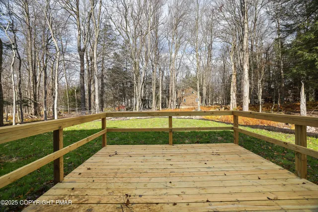 a view of park with large trees
