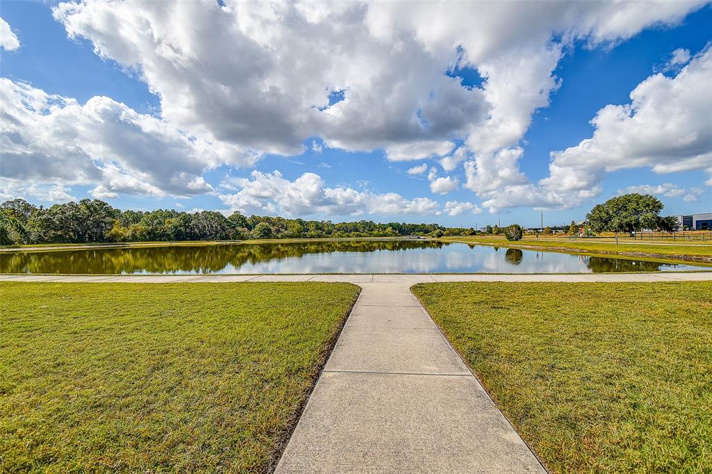 11656 Lake Boulevard New Port Richey, FL 34655 - Photo 51 of 55