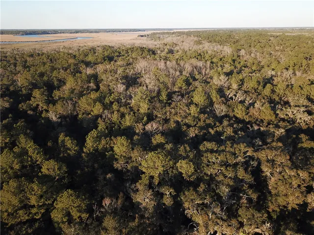 $199,900 | 0 Hwy 99 Townsend Ga 31331, Townsend, GA 31331