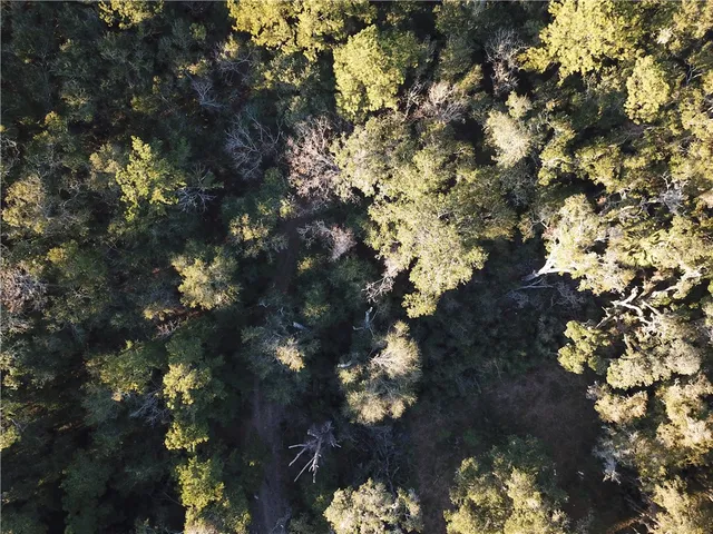 $199,900 | 0 Hwy 99 Townsend Ga 31331, Townsend, GA 31331