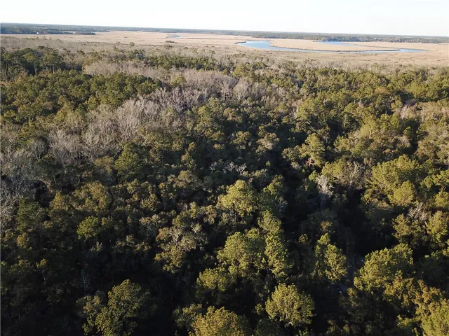 $199,900 | 0 Hwy 99 Townsend Ga 31331, Townsend, GA 31331