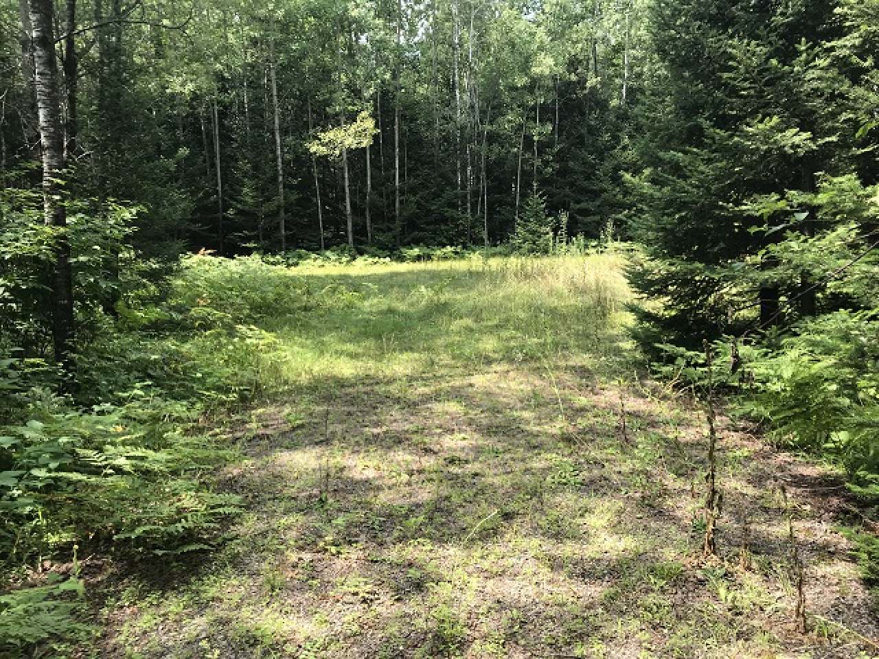 Lot 36 Nathan Pass Mercer, WI 54547 - Photo 1 of 71 Gallery Image 1