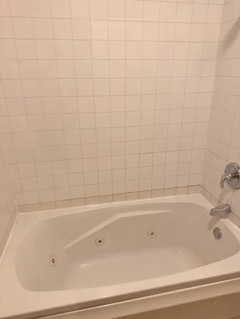 $2,275 | 4615 South Michigan Avenue, Unit 2S, Chicago, IL 60653