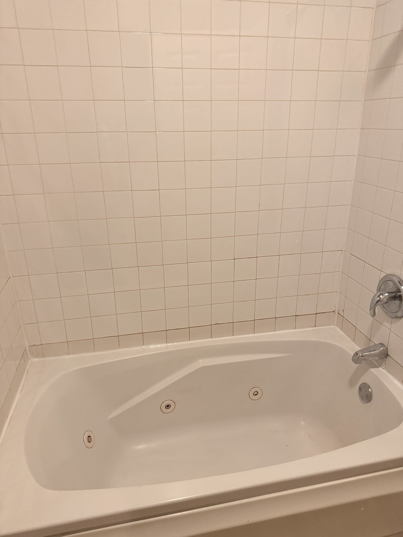 4615 South Michigan Avenue, Unit 2S Chicago, IL 60653 - Photo 14 of 26