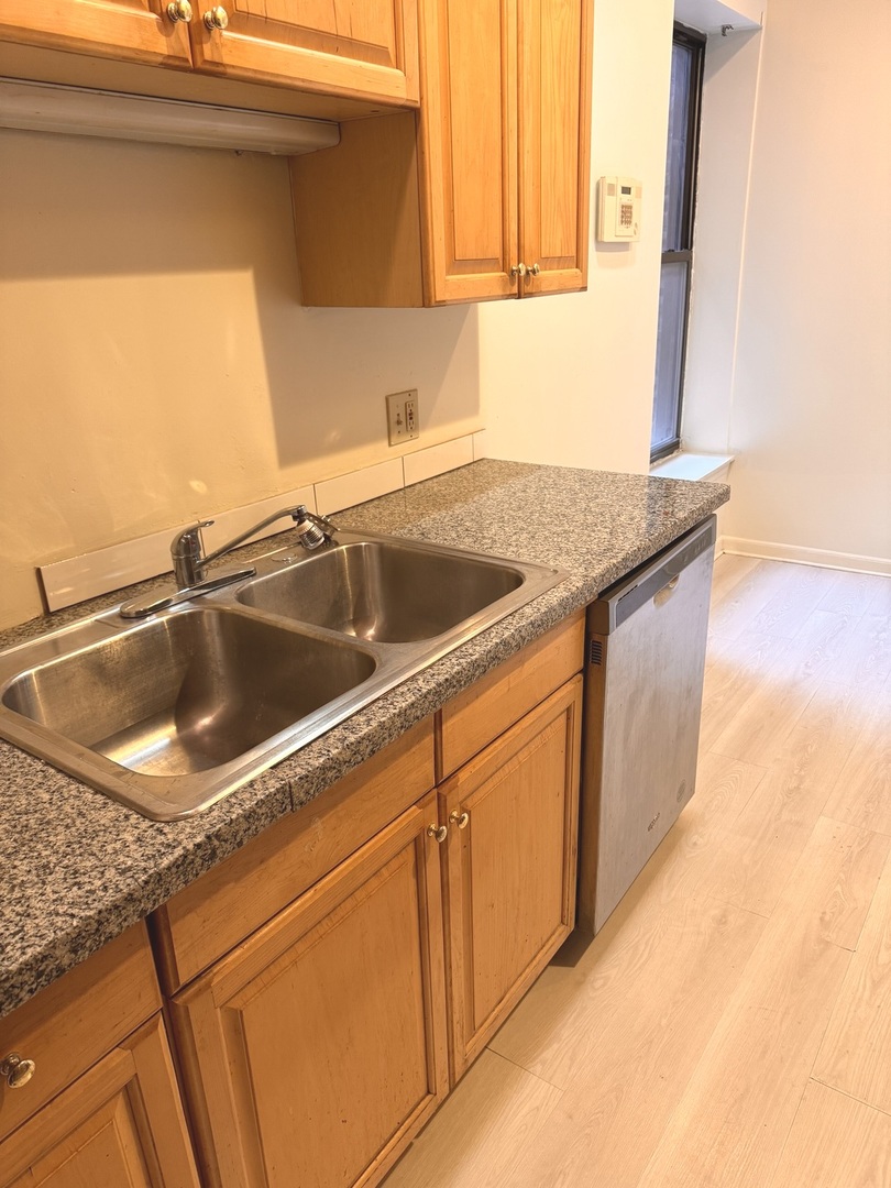 4615 South Michigan Avenue, Unit 2S Chicago, IL 60653 - Photo 7 of 26 a close view of sink and tap