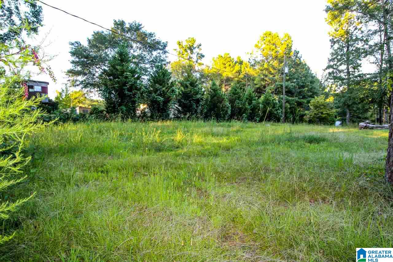 1568 Post Oak Road Alexandria, AL 36250 - Photo 11 of 27