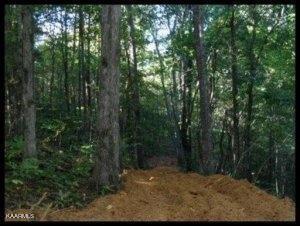 2 Jd Lee Farm Road Tellico Plains, TN 37385 - Photo 1 of 3 Tanner Place 2