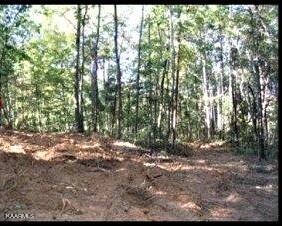 2 Jd Lee Farm Road Tellico Plains, TN 37385 - Photo 2 of 3 Tanner Place 3 (2)