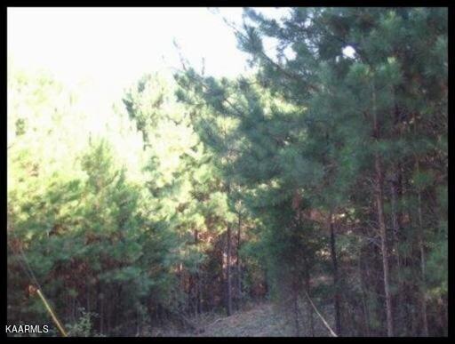 2 Jd Lee Farm Road Tellico Plains, TN 37385 - Photo 3 of 3 Tanner Place
