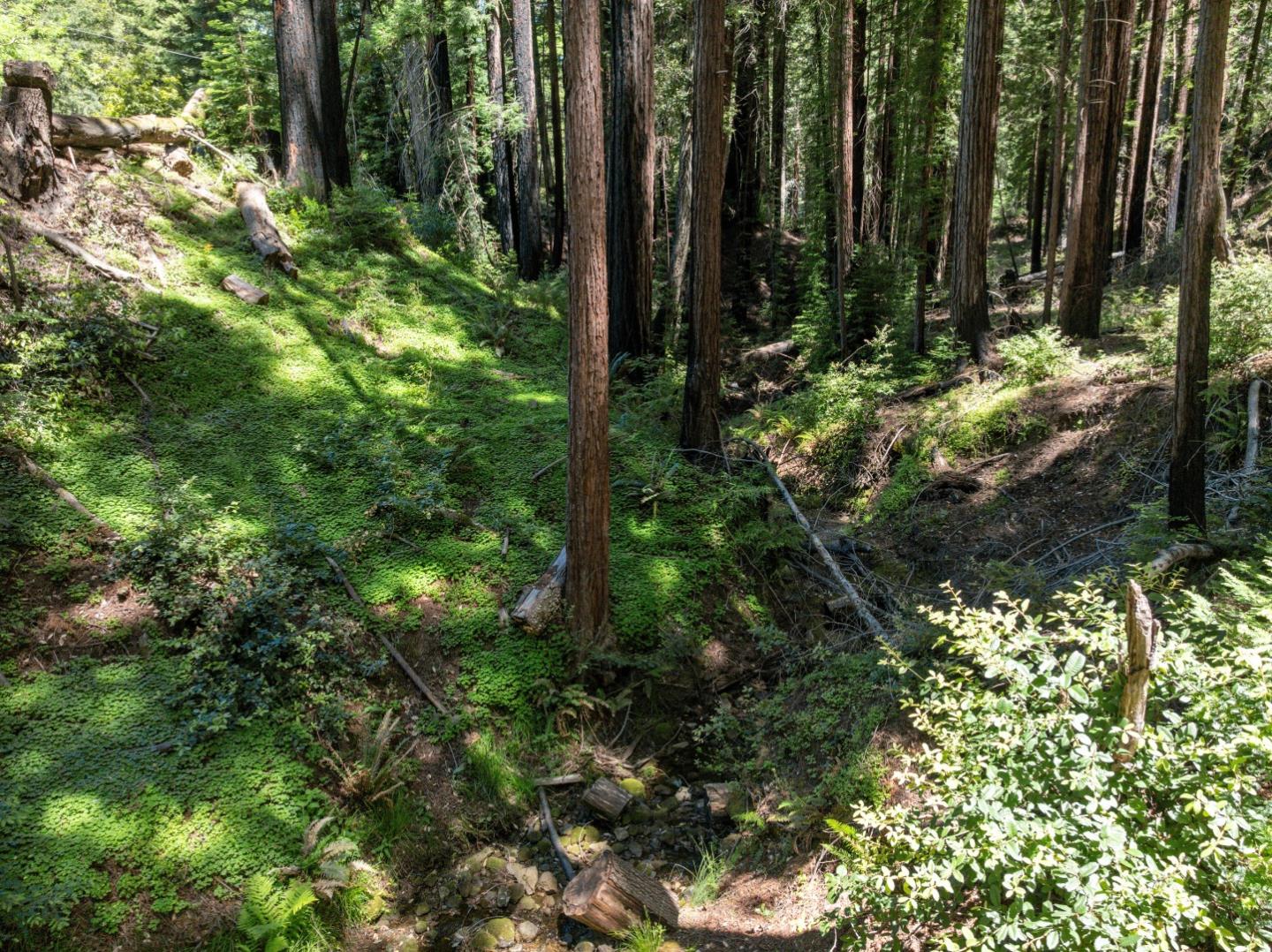 Lot 17 Branson Ranch Boulder Creek, CA 95006 - Photo 24 of 45 a view of forest