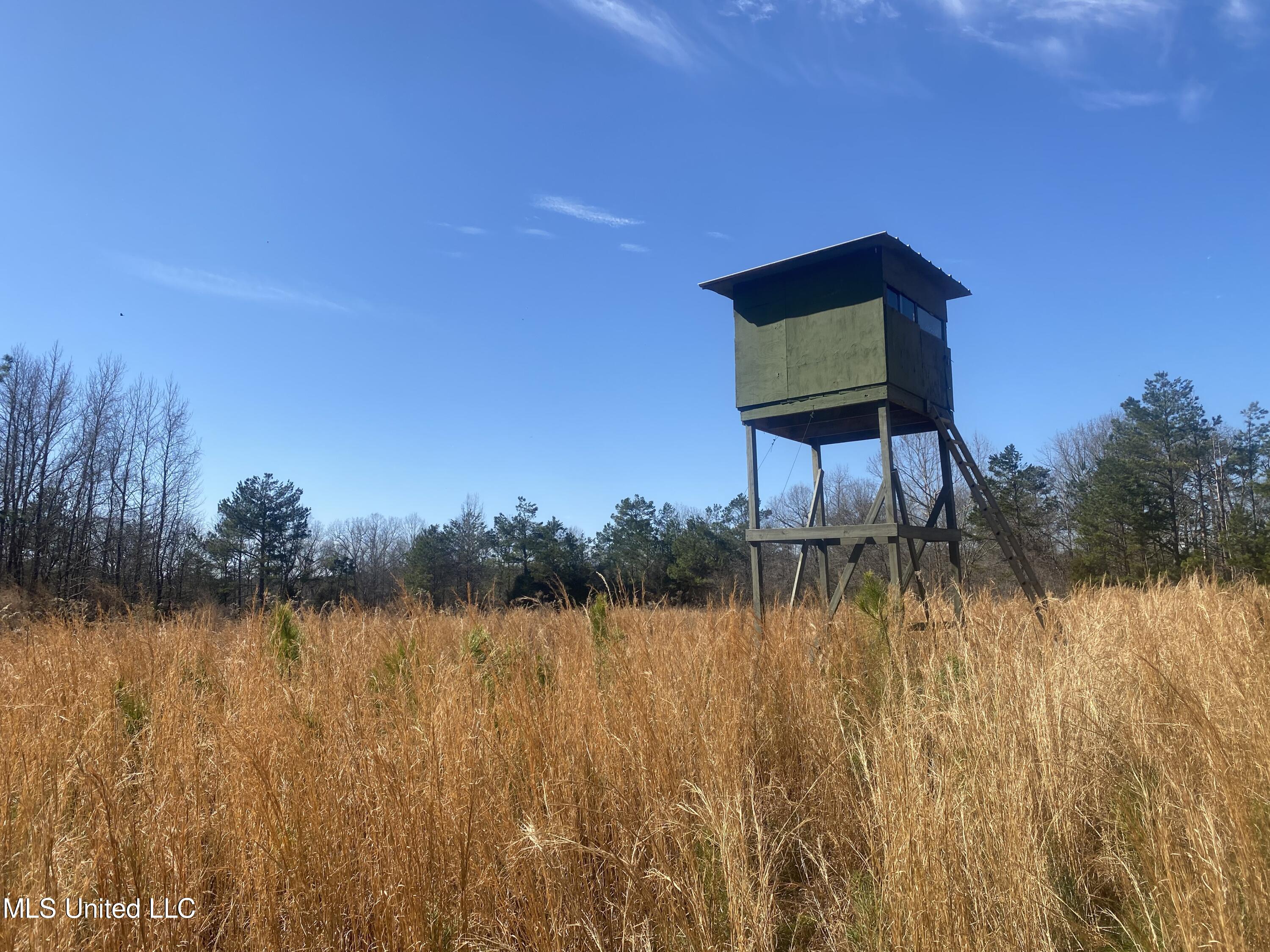 Reeves Road Holly Springs, MS 38635 - Photo 1 of 58 The Benton 44.86