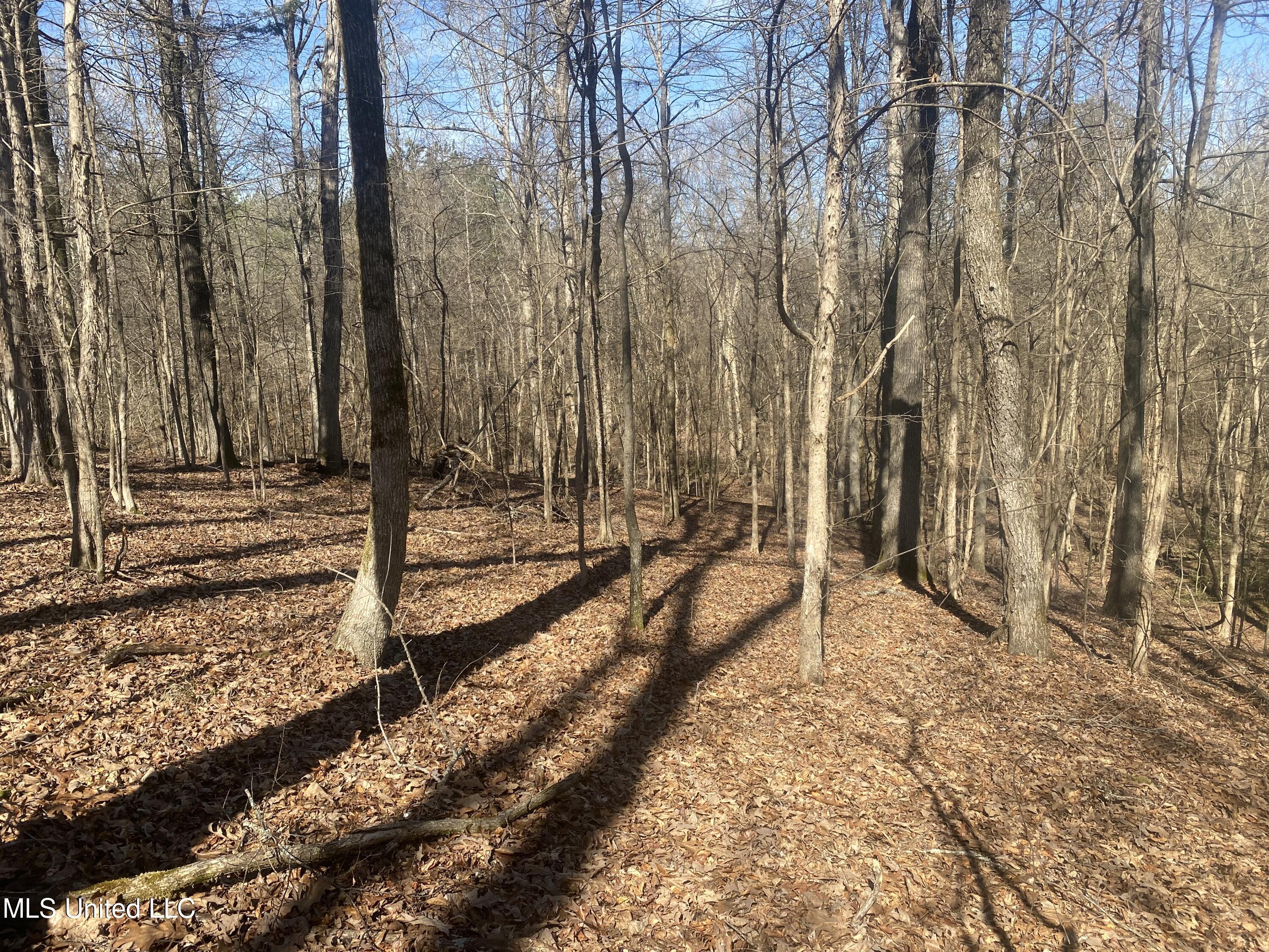 Reeves Road Holly Springs, MS 38635 - Photo 15 of 58 Photo Feb 06 2023, 11 48 02 AM