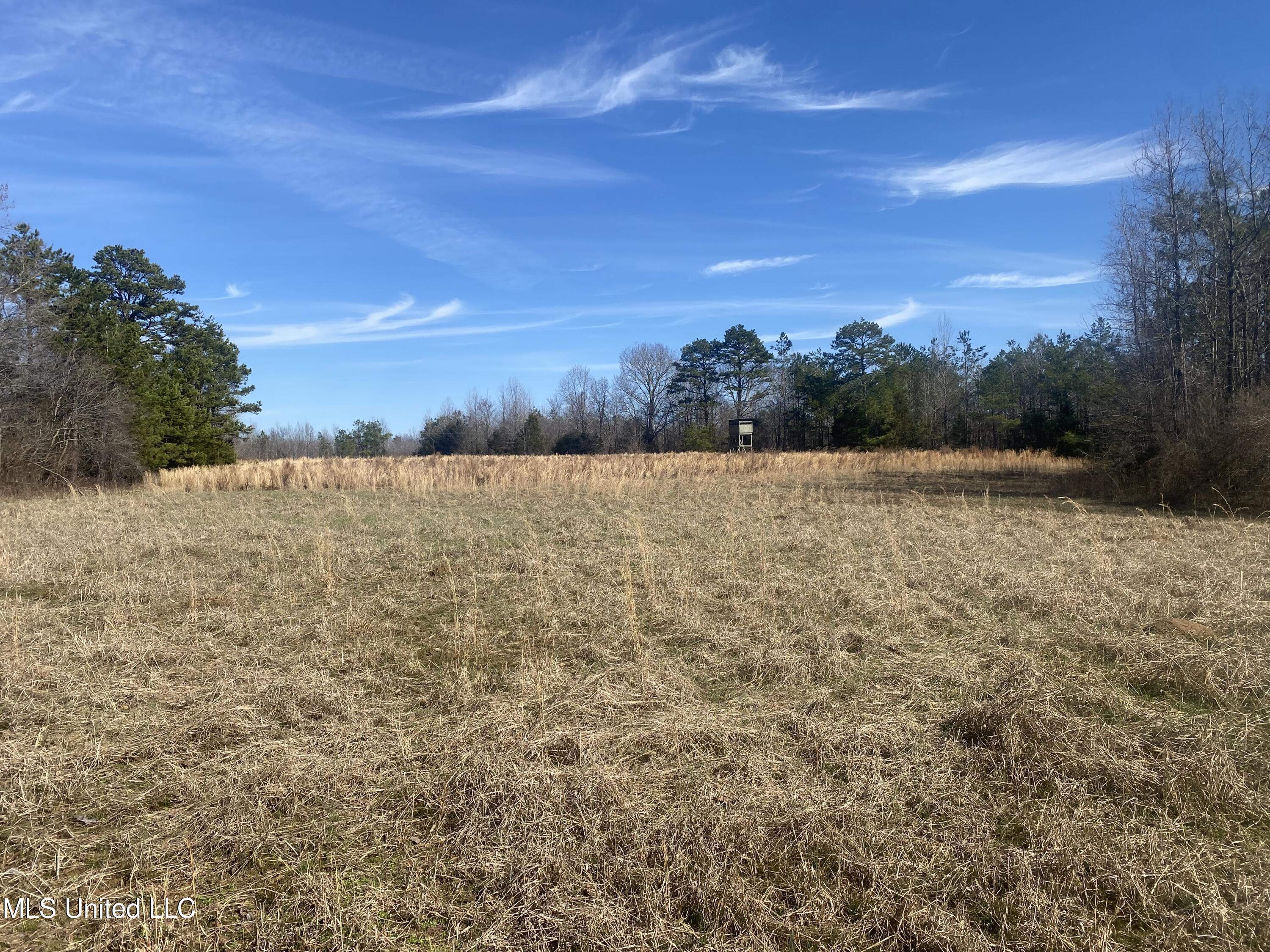 Reeves Road Holly Springs, MS 38635 - Photo 20 of 58 Photo Feb 06 2023, 11 54 03 AM