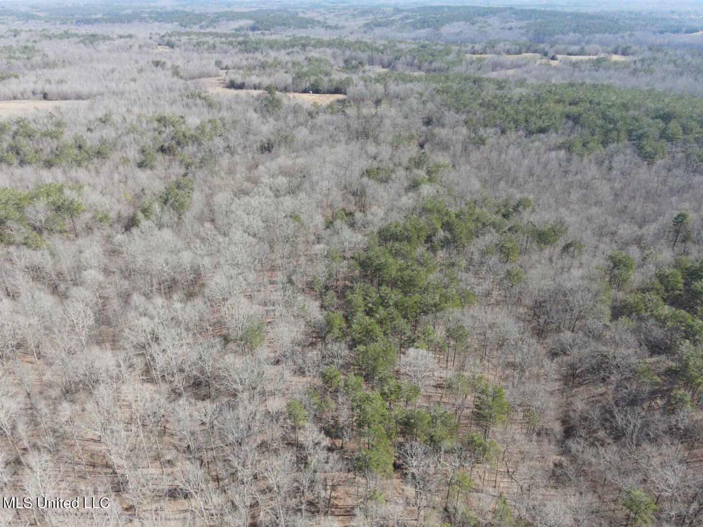 Reeves Road Holly Springs, MS 38635 - Photo 31 of 58 1