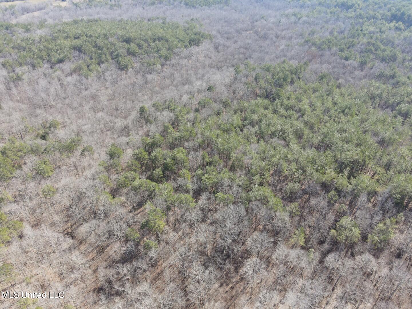 Reeves Road Holly Springs, MS 38635 - Photo 32 of 58 2
