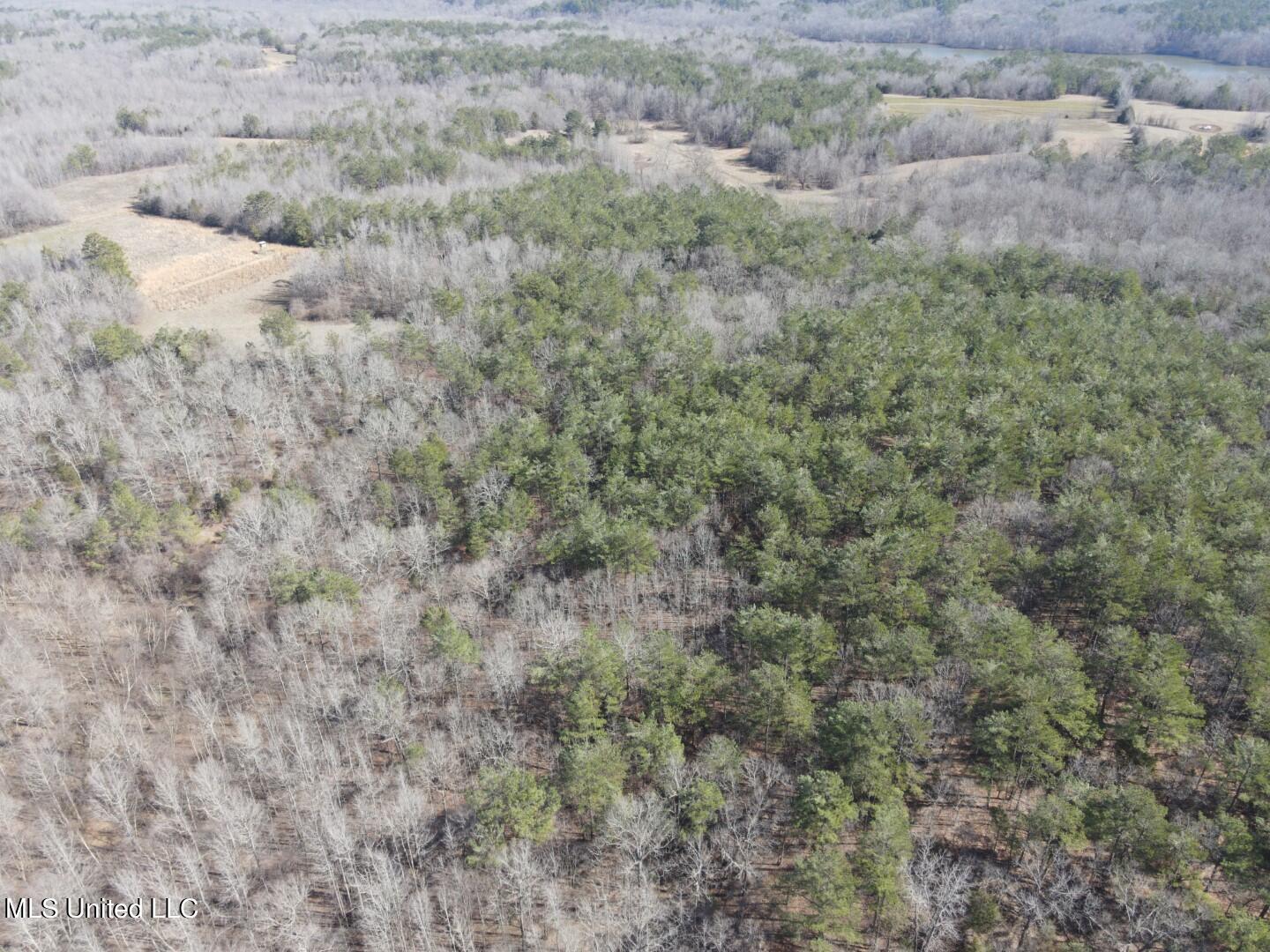 Reeves Road Holly Springs, MS 38635 - Photo 34 of 58 5