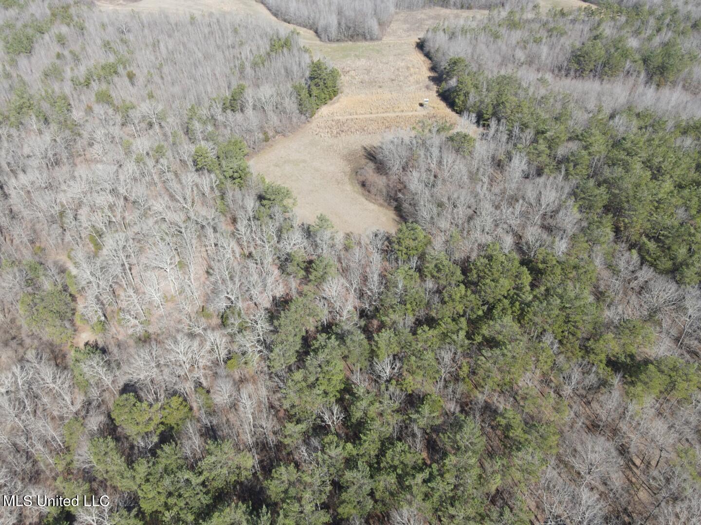 Reeves Road Holly Springs, MS 38635 - Photo 35 of 58 6