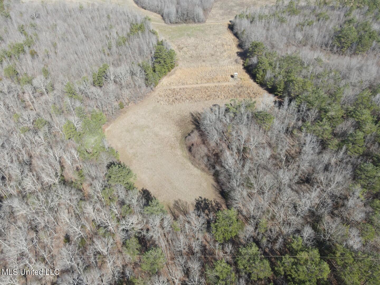 Reeves Road Holly Springs, MS 38635 - Photo 36 of 58 7