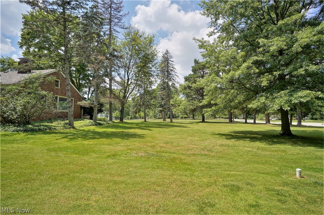 4449 Lander Road Chagrin Falls, OH 44022 - Photo 6 of 31 Side Yard