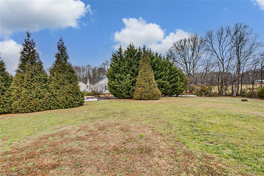 514 Honeysuckle Ridge Asheboro, NC 27205 - Photo 19 of 21