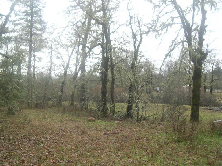 240 Queen Of Bronze Road Cave Junction, OR 97523 - Photo 7 of 20 Additional Photo