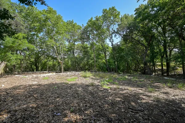 a view of a yard with a tree