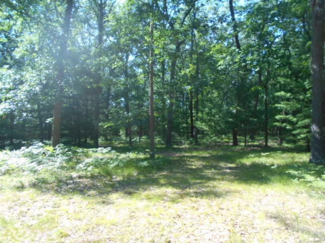 311 North Jackpine Road Fountain, MI 49410 - Photo 5 of 15 DSCN6895