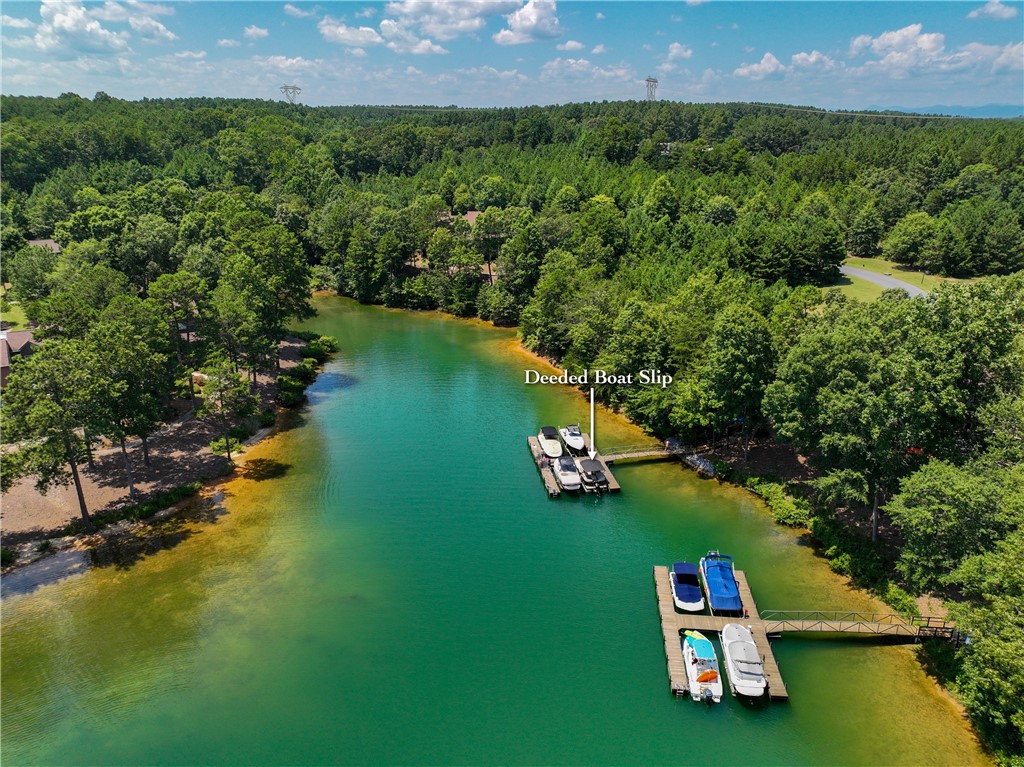 418 Sunset Point Drive West Union, SC 29696 - Photo 4 of 40