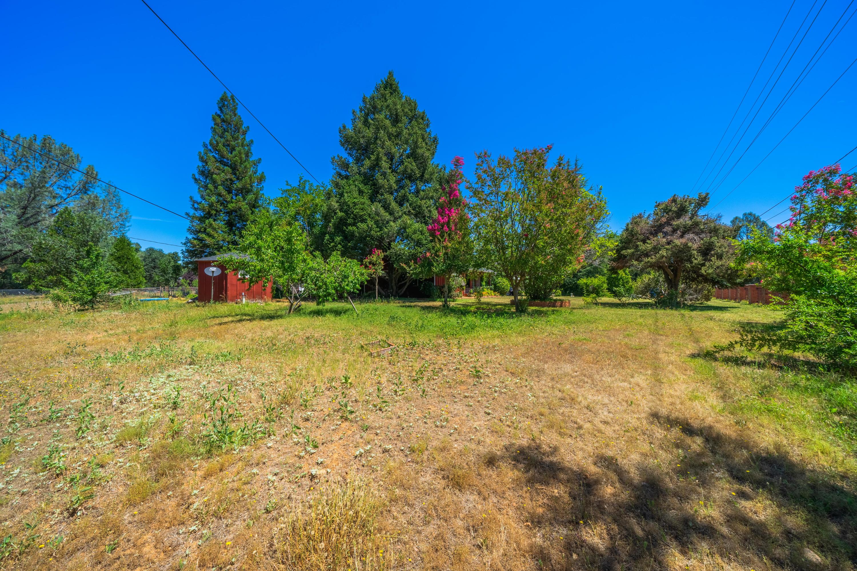 1542 Old Alturas Road Redding, CA 96003 - Photo 15 of 20 a green field with trees in the background