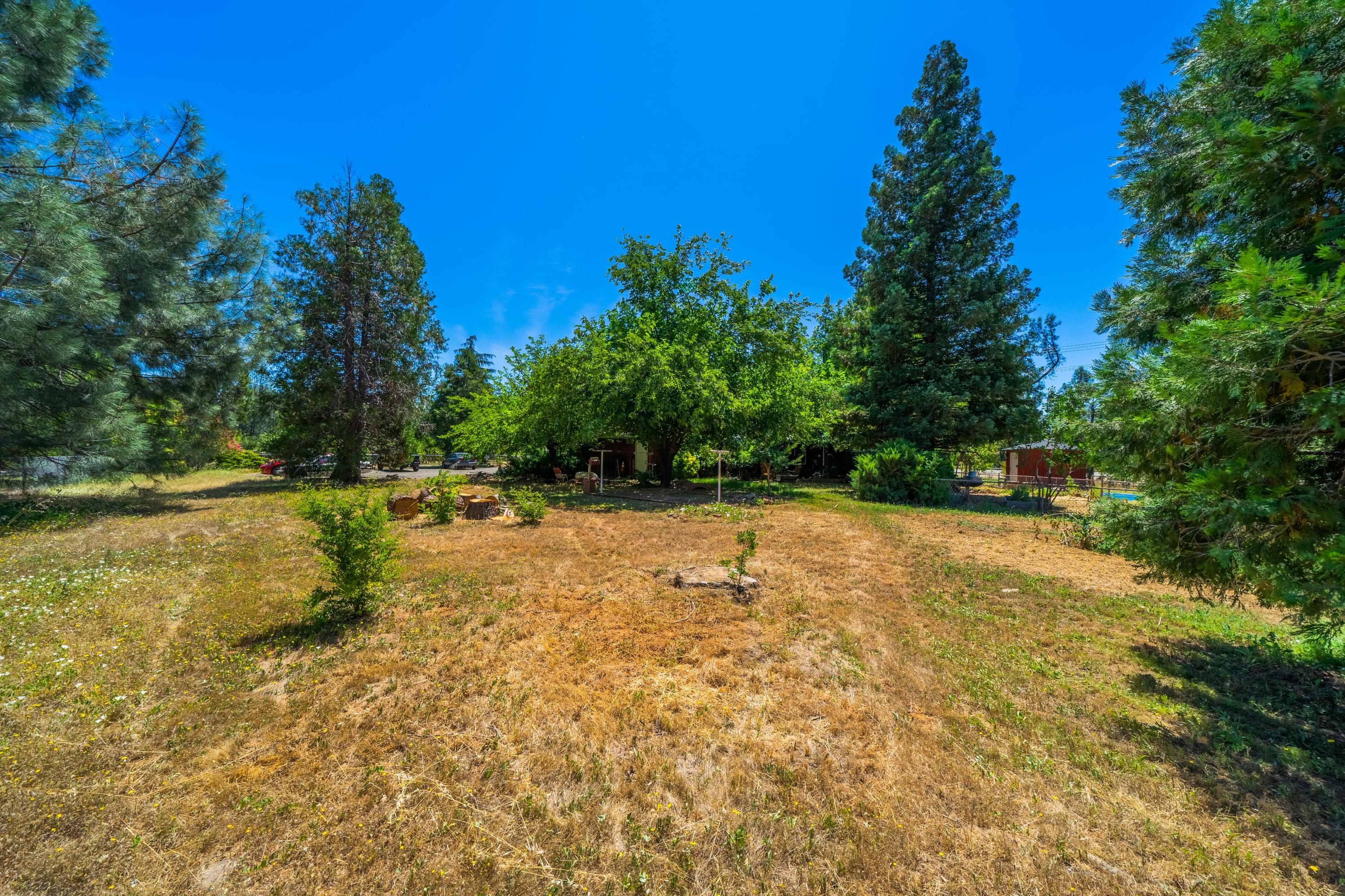 1542 Old Alturas Road Redding, CA 96003 - Photo 18 of 20 a view of a yard with trees