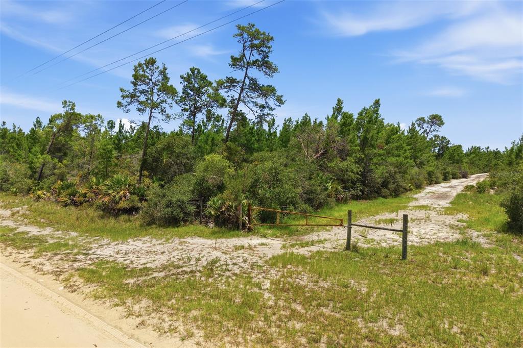 70 Maggie Jones Road Eustis, FL 32736 - Photo 3 of 10
