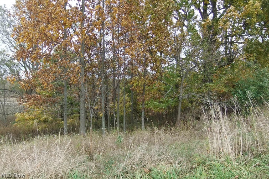 Garman Road Creston, OH 44217 - Photo 5 of 12 Gallery Image 5