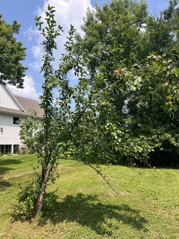 $229,000 | 1145 Mt Hope Road, Carver, MN 55315