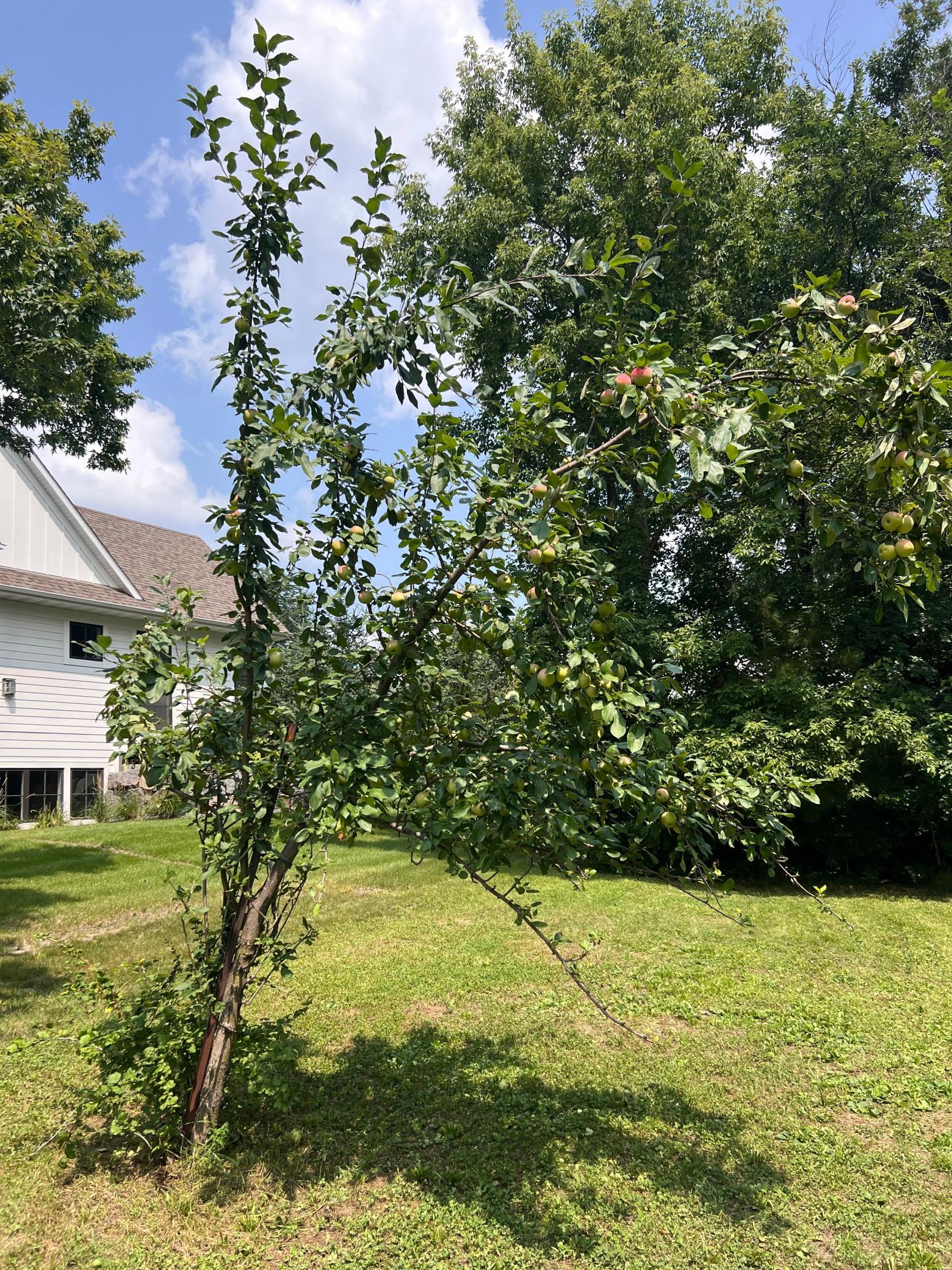 1145 Mt Hope Road Carver, MN 55315 - Photo 9 of 12