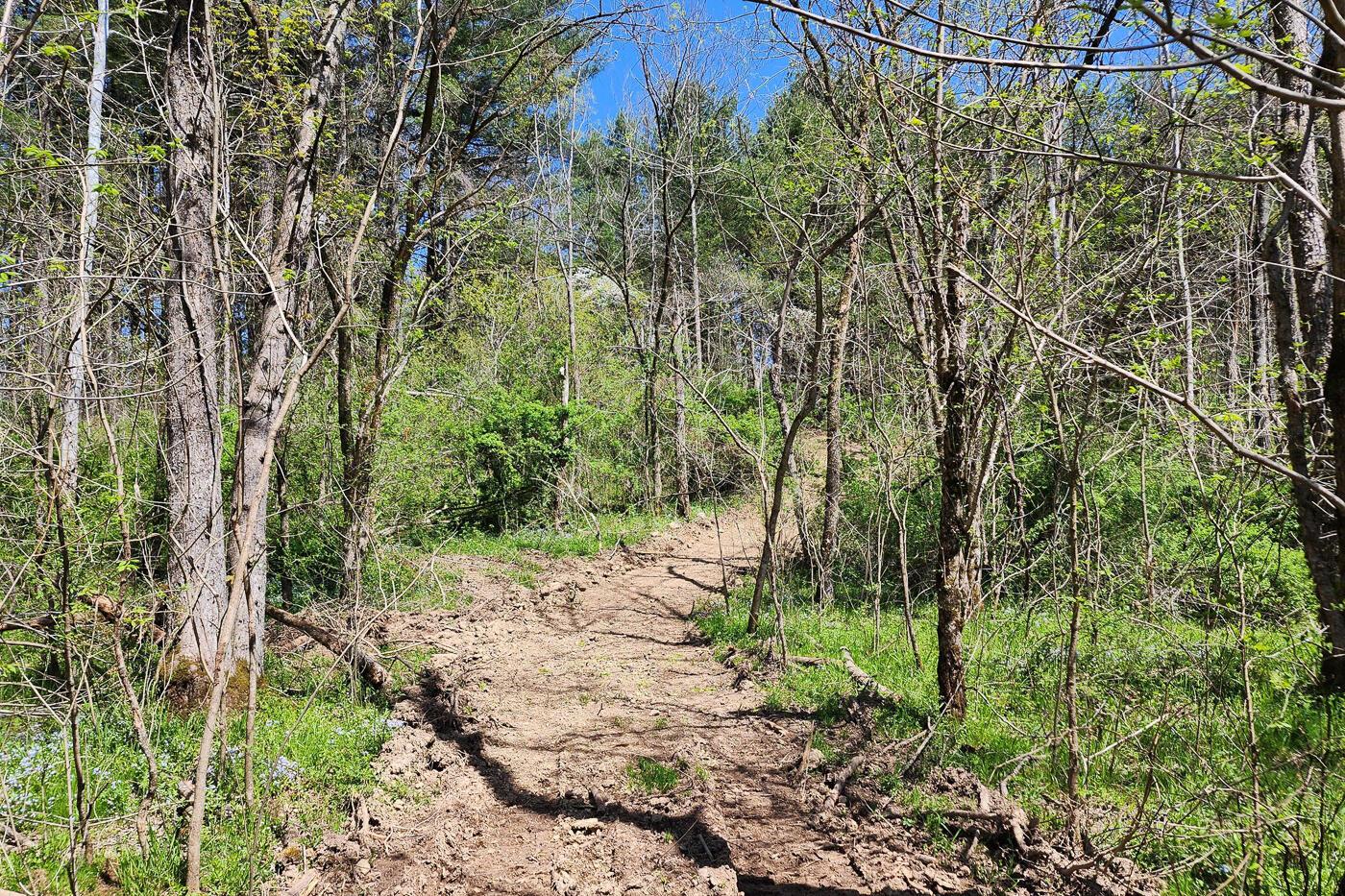 0 Featherstone Road, Unit TRACT 2) Stewart, OH 45778 - Photo 40 of 56 CT-40