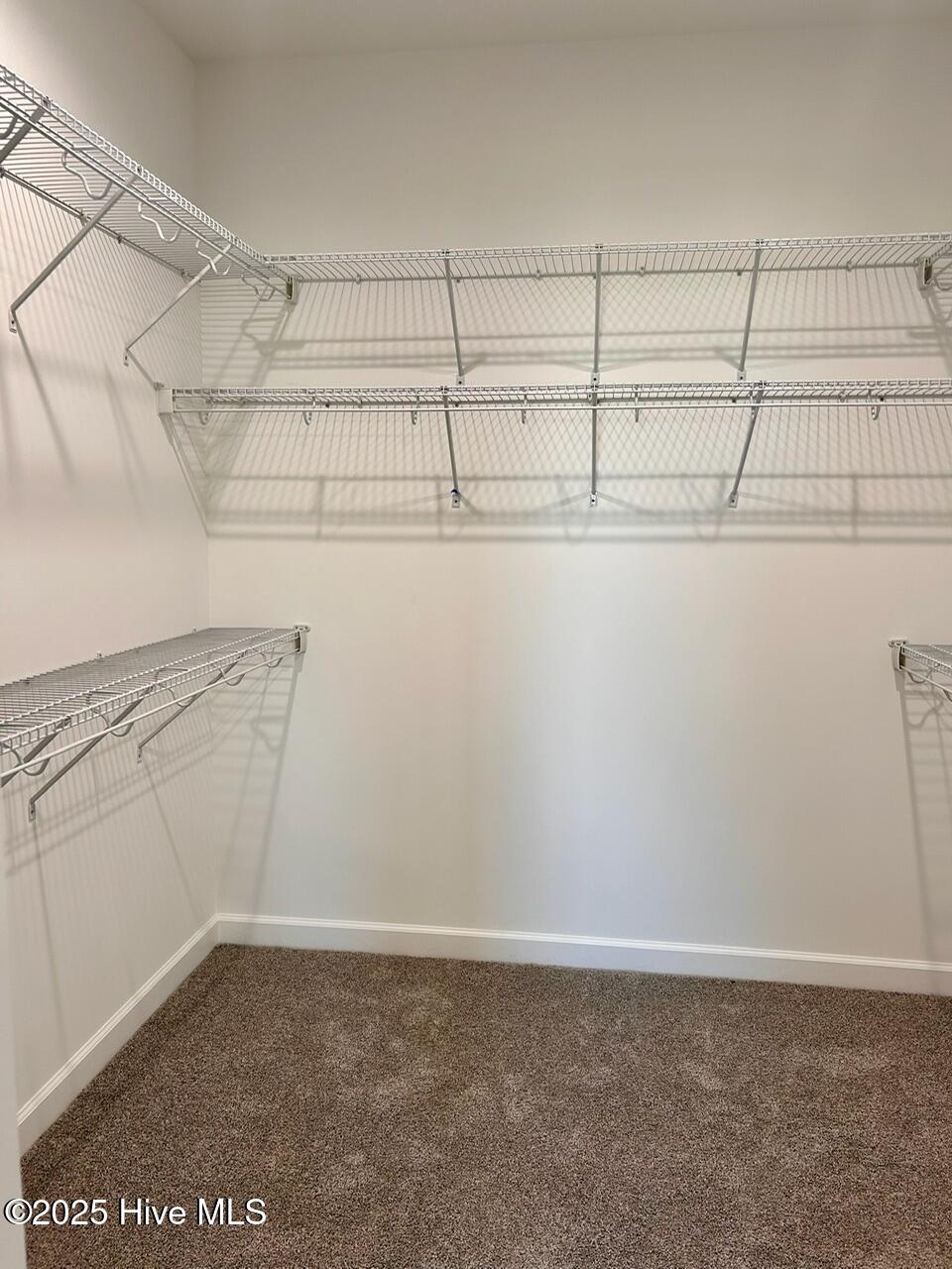 5116 Nc-111 Pikeville, NC 27863 - Photo 9 of 21 IMG_6721