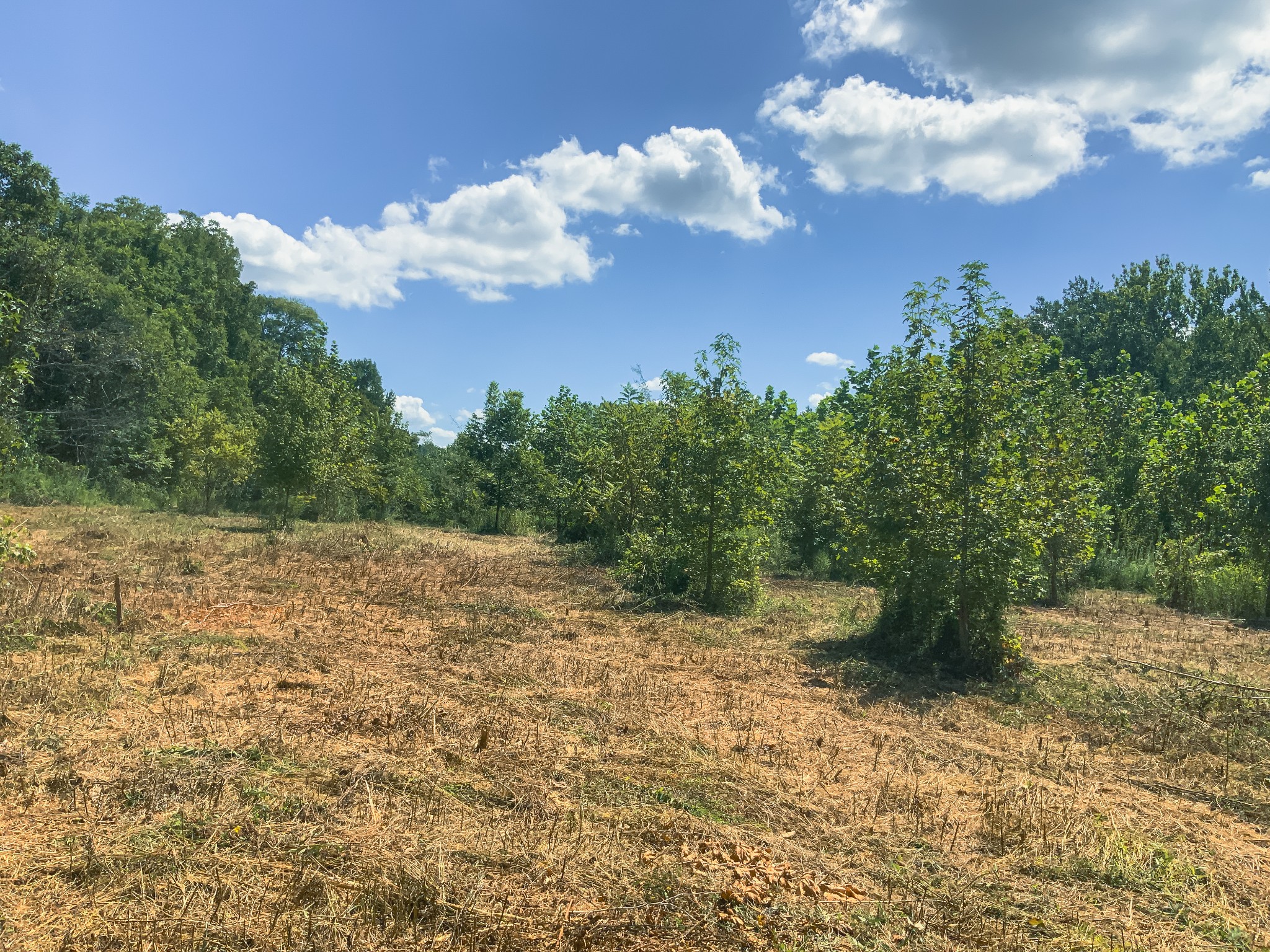 0 Call Road Obion, TN 38240 - Photo 23 of 40 Gallery Image 23