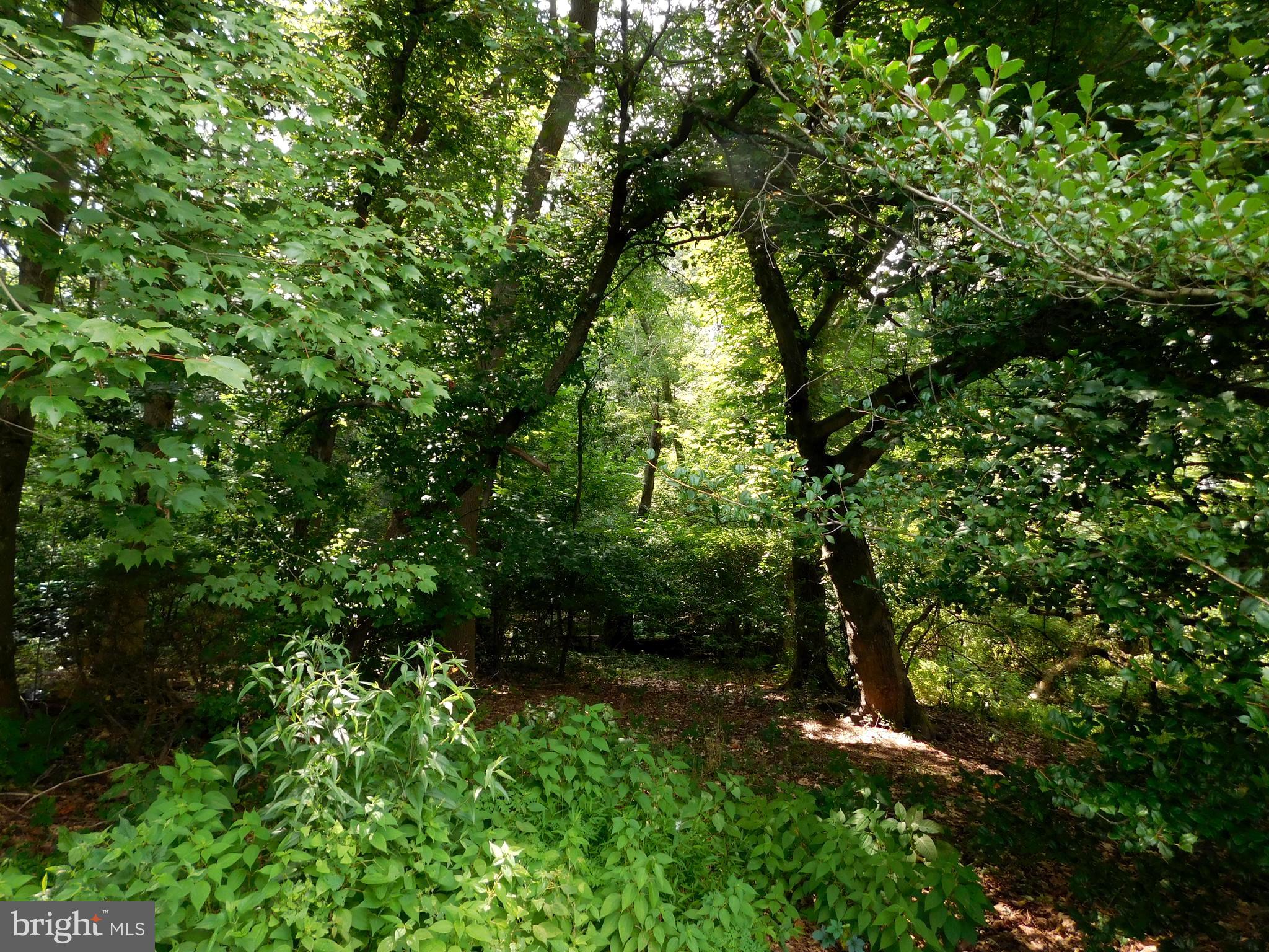 34 Long Bow Drive Sewell, NJ 08080 - Photo 16 of 47