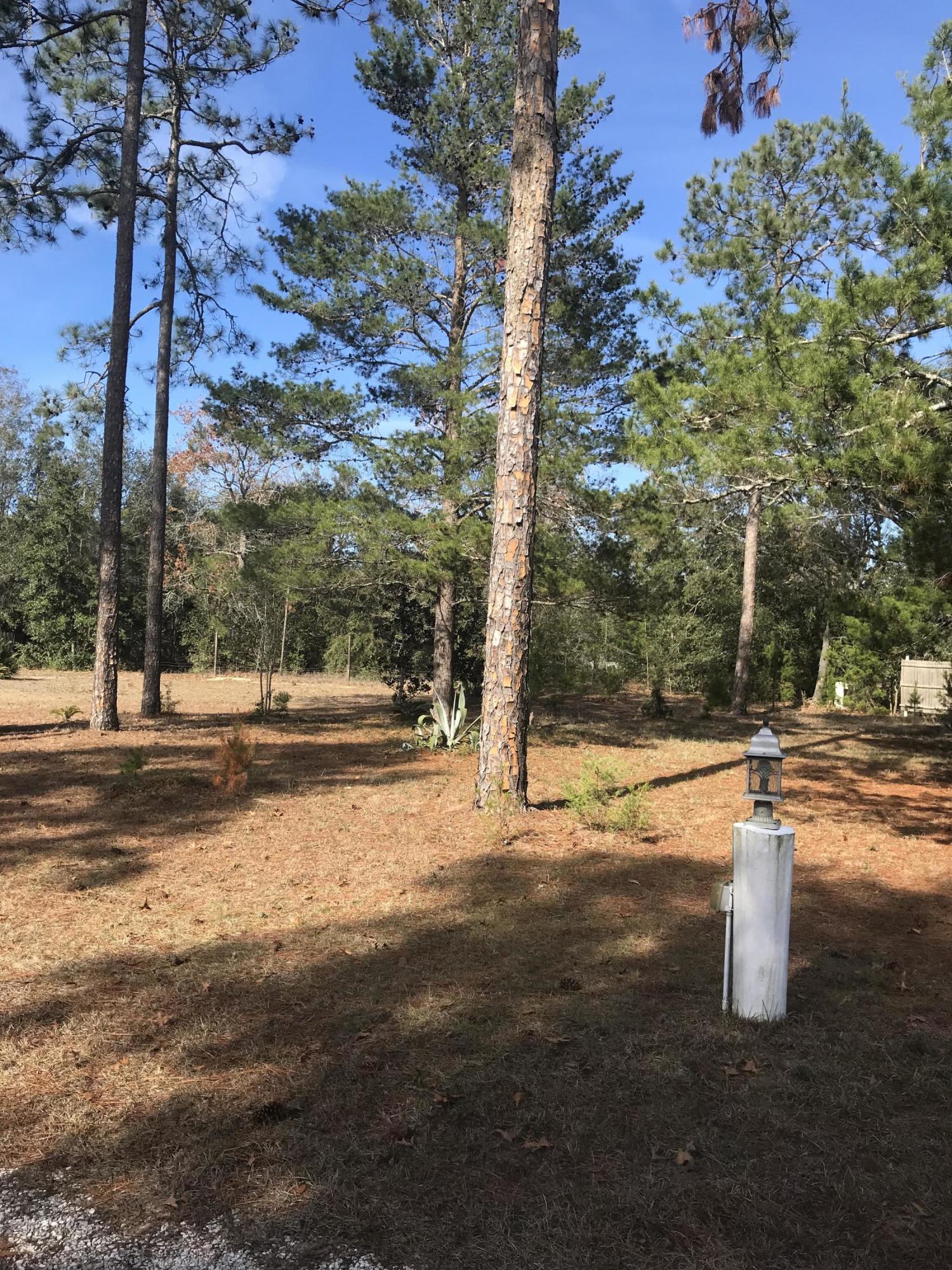 96541 Chester Road Yulee, FL 32097 - Photo 2 of 20 a view of a road with tall trees