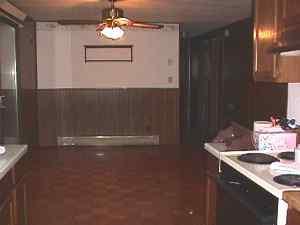 5279 West Sidney Road Sidney, MI 48885 - Photo 3 of 7 Additional Photo